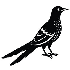 cuckoo vector sihouette