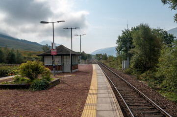 railway in the forest