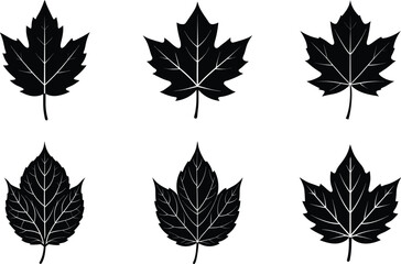 Obraz premium autumn leaf single vector illustration black silhouette white background