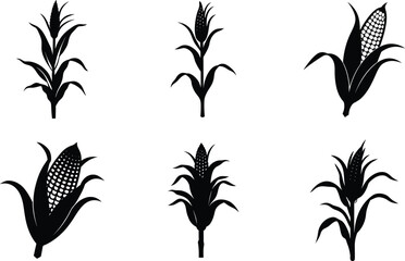 corn stalk vector illustration black silhouette white background