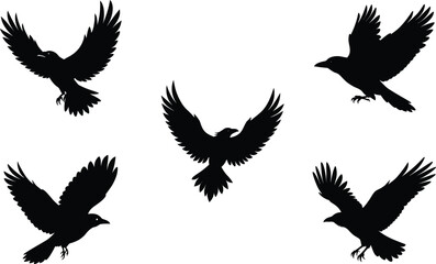 crow flying vector illustration black silhouette white background