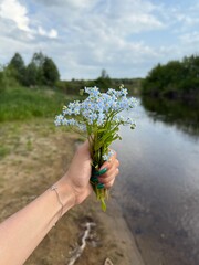 plant in hand