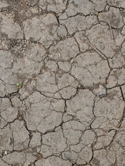 Detailed view of severely cracked earth, showcasing drought conditions and texture