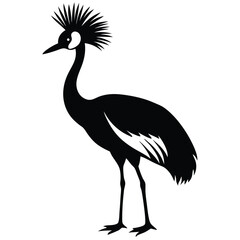 crowned crine vector