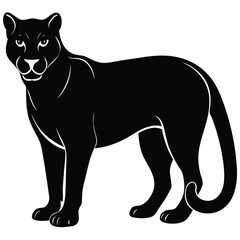 cougar vector