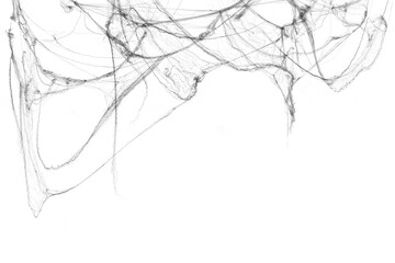 Tangled spider's web on isolated white background for Halloween design. Black cobweb for applying in multiply blend mode on any concept
