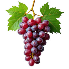 Fototapeta premium Close-up view of a ripe bunch of red grapes with green leaves on a black backdrop