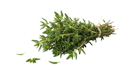 Closeup shot of fresh thyme bundle isolated on transparent background, showcasing its vibrant green leaves and delicate stems, perfect for culinary and herbal applications