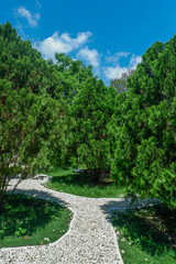 Garden landscape design with pathway in garden and footpath in picturesque summer park and staircase in backyard,Paving stones on floor in park,space for text.