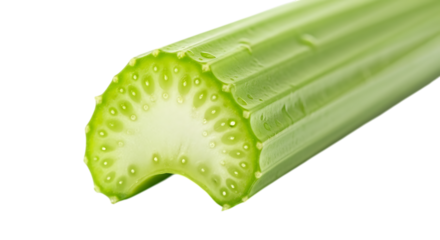Closeup of a fresh celery stalk cross section isolated on transparent background, showcasing its vibrant green color, crisp texture, and healthy, nutritious qualities