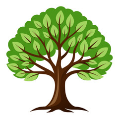 Fototapeta premium green tree vector