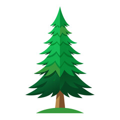 christmas tree isolated on white