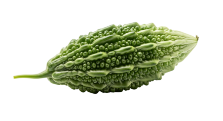 Fresh bitter melon isolated on transparent background, a healthy and nutritious vegetable with a unique taste, perfect for adding a touch of bitterness to your culinary creations