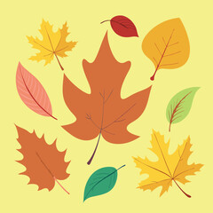 autumn leaves background