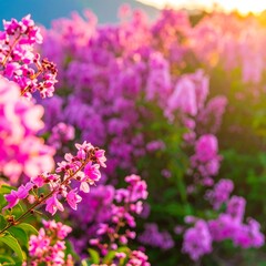 Floral abundance unfolds in soft hues and sun-kissed splendor, a captivating landscape