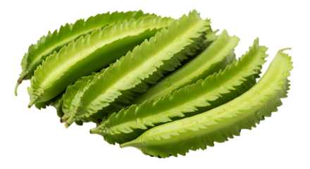 A pile of fresh winged beans, isolated on transparent background, showing their unique shape and vibrant green color, a nutritious and versatile vegetable