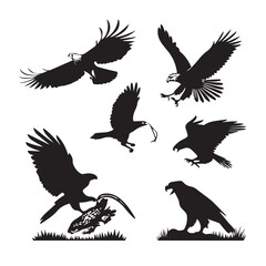 Obraz premium detailed professional high quality A Collection of Black Silhouettes of Birds and a Lizard