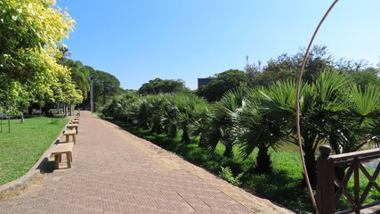 in the streets of the old town of Siem Rep, Cambodia Asia