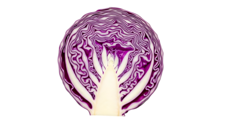 Detailed crosssection of a red cabbage isolated on transparent background, showcasing the vibrant purple hues and intricate patterns, perfect for culinary and healthrelated visuals
