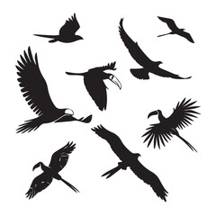 Obraz premium vibrant crisp clean stylish elegant modern detailed professional high quality Bird Silhouettes in Flight