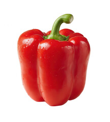 red bell pepper on a white background, png, transparent