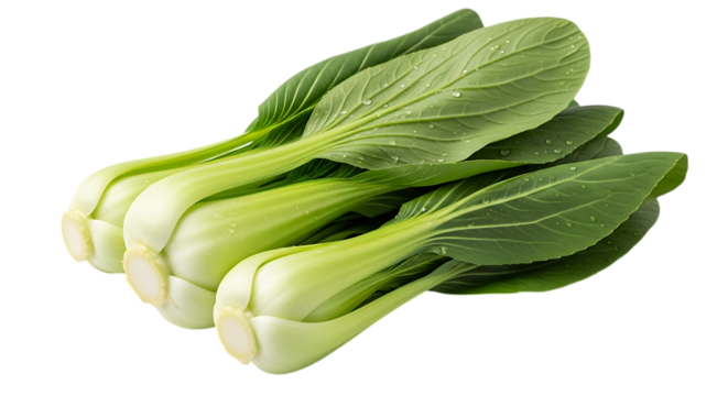 Fresh bok choy isolated on transparent background, a nutritious and delicious vegetable, perfect for salads, stirfries, and other culinary creations, rich in vitamins and minerals