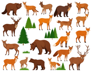 Forest animal vector pack (fox, deer, bear) transparent background