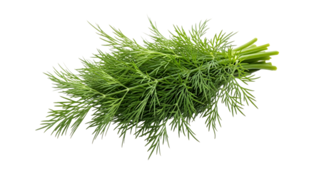 Fresh dill sprigs, a fragrant herb used in cooking, isolated on transparent background its feathery leaves add a unique flavor to dishes, making it a popular culinary ingredient