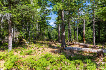 North Cascades National Park