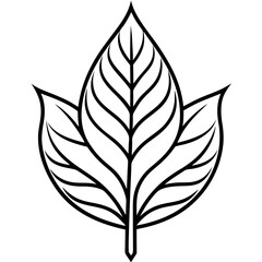 Minimal Leaf Vector Outline