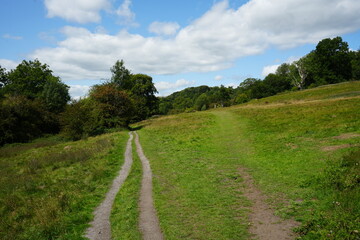 View of a picturesque grassy woodland footpath under the summer sky in Derbyshire, England.