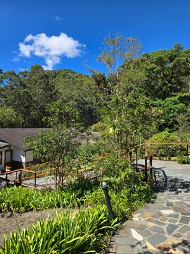 caba&ntilde;as