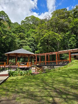 caba&ntilde;as