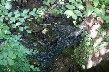 Picturesque woodland stream in Derbyshire, England with mossy rocks, bathed in summer light.
