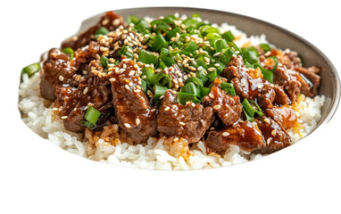Beef and Rice Bowl with Sesame isolated on white background, png