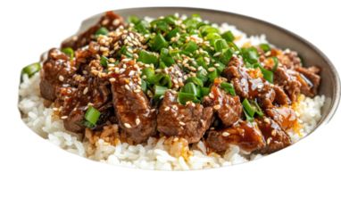 Beef and Rice Bowl with Sesame isolated on white background, png