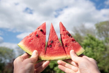 A slice of ripe watermelon in hands against the sky and trees outdoor. Healthy lifestyle concept. Fresh, juicy fruits for health. A piece of watermelon cut into three parts. Summer plant raw food