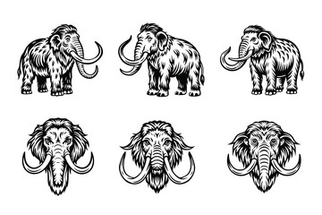 Obraz premium Beautiful and playful Mammoth with white background