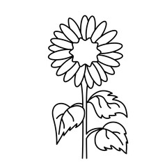 Doodle vector flower contour symbol isolated on a transparent background