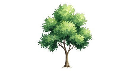 Obraz premium Lush Green Summer Tree Illustration - Symbolizing nature, growth, life, peace, and the environment. A vibrant green tree isolated on a white background