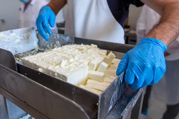 White cheese production in modern dairy plant. © ververidis