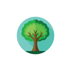 Obraz premium elm tree flat vector illustration