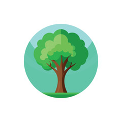 elm tree flat vector illustration