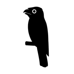 Fototapeta premium Design a black silhouette of a Potoo white background clean vector shape