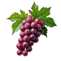 Fototapeta premium Fresh and juicy bunch of red grapes with green leaves on a transparent background