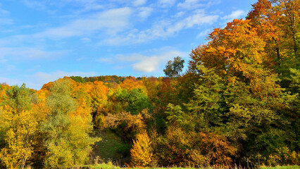 Fototapeta premium Autumn landscape in the hills of Mures, Transylvania 
