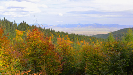 Autumn in the Carpathian Mountains in the Gheorgheni area, Harghita 