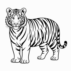 lion, cub, lioness, wildcat, feline, bigcat, jungle, safari, animal, wildlife, predator, nature, zoo, majestic, paws, whiskers, tail, fur, ears, eyes, strong, sketch, lineart, blackwhite, drawing, out