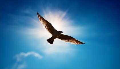 Fototapeta premium bird flies against sun soaring in blue sky freedom nature concept dramatic light and shadow