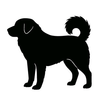 Design a black silhouette of a Tornjak white background clean vector shape